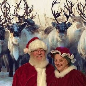 Meet your Posher, Bernie